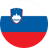 Leaving Cert Slovenian Past Papers